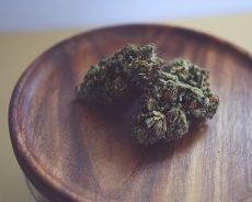 Sour Diesel CBD: Stress Relief, Muscle Pain Relief