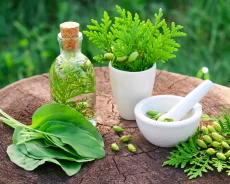 Herbs for Stress Relief and Mood Enhancement