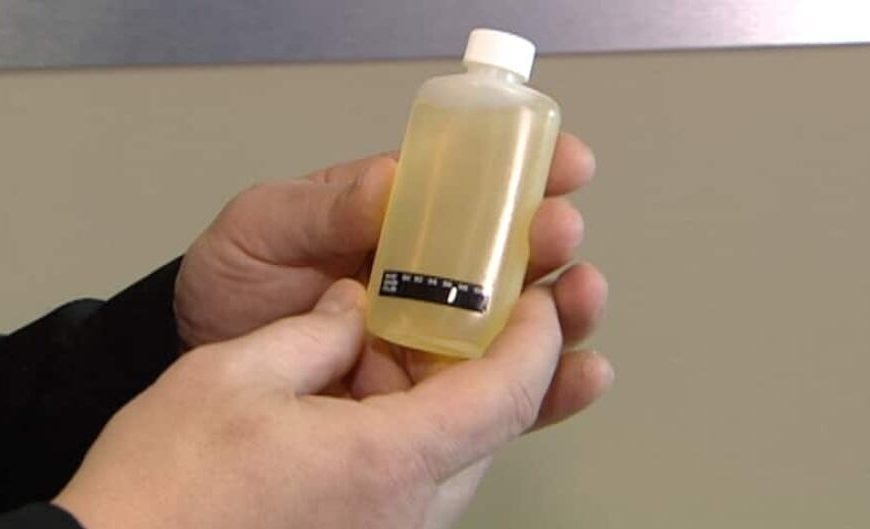 Last-Minute Tips to Pass Your Urine Drug Test Successfully